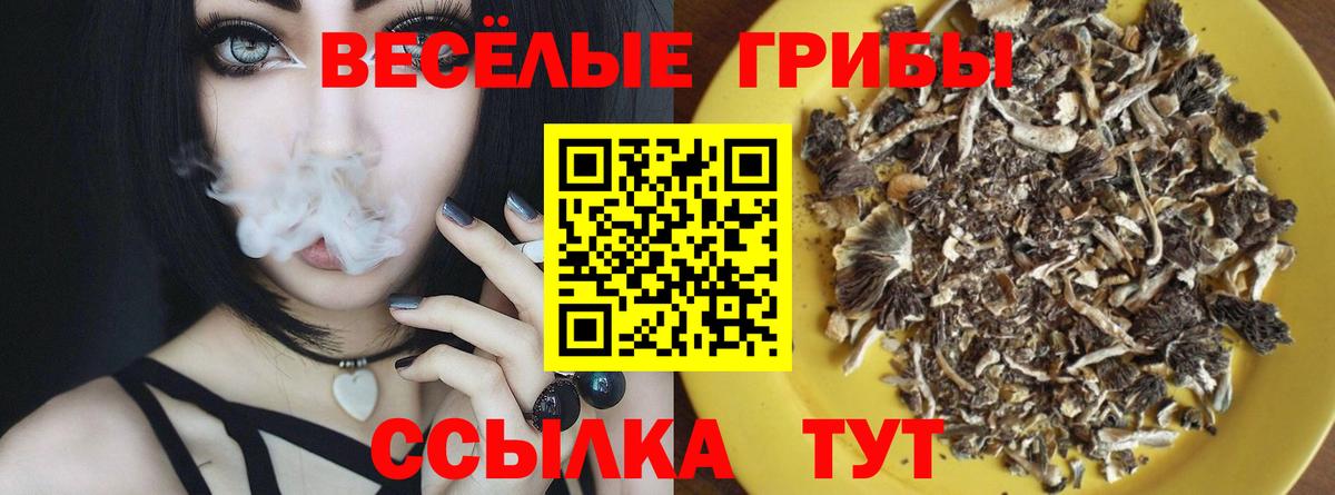 Галлюциногенные грибы ЛСД  Вход с VPN  Балашиха 